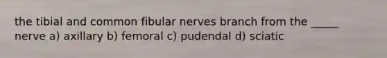 the tibial and common fibular nerves branch from the _____ nerve a) axillary b) femoral c) pudendal d) sciatic