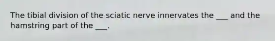 The tibial division of the sciatic nerve innervates the ___ and the hamstring part of the ___.