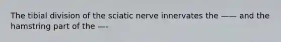 The tibial division of the sciatic nerve innervates the —— and the hamstring part of the —-