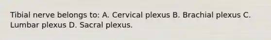 Tibial nerve belongs to: A. Cervical plexus B. Brachial plexus C. Lumbar plexus D. Sacral plexus.