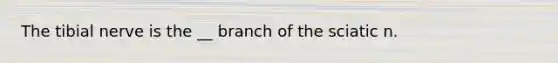 The tibial nerve is the __ branch of the sciatic n.