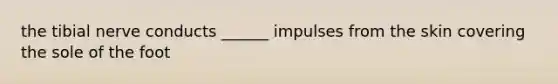 the tibial nerve conducts ______ impulses from the skin covering the sole of the foot