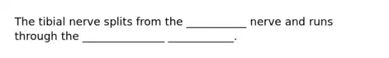 The tibial nerve splits from the ___________ nerve and runs through the _______________ ____________.