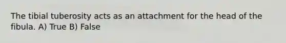 The tibial tuberosity acts as an attachment for the head of the fibula. A) True B) False