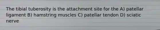 The tibial tuberosity is the attachment site for the A) patellar ligament B) hamstring muscles C) patellar tendon D) sciatic nerve