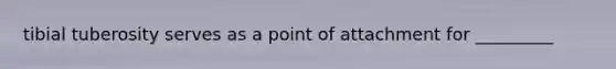 tibial tuberosity serves as a point of attachment for _________