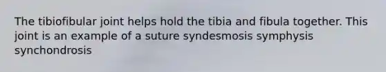 The tibiofibular joint helps hold the tibia and fibula together. This joint is an example of a suture syndesmosis symphysis synchondrosis