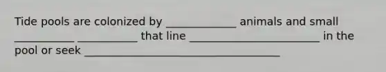 Tide pools are colonized by _____________ animals and small ___________ ___________ that line ________________________ in the pool or seek ____________________________________