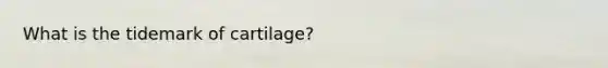 What is the tidemark of cartilage?