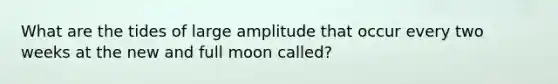 What are the tides of large amplitude that occur every two weeks at the new and full moon called?