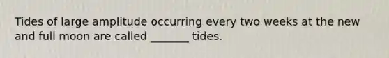 Tides of large amplitude occurring every two weeks at the new and full moon are called _______ tides.