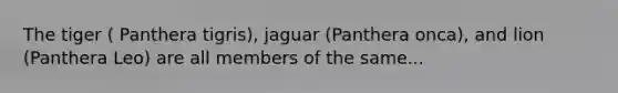 The tiger ( Panthera tigris), jaguar (Panthera onca), and lion (Panthera Leo) are all members of the same...