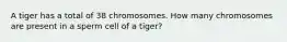 A tiger has a total of 38 chromosomes. How many chromosomes are present in a sperm cell of a tiger?