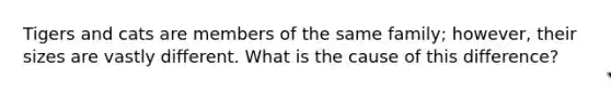 Tigers and cats are members of the same family; however, their sizes are vastly different. What is the cause of this difference?