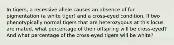 In tigers, a recessive allele causes an absence of fur pigmentation (a white tiger) and a cross-eyed condition. If two phenotypically normal tigers that are heterozygous at this locus are mated, what percentage of their offspring will be cross-eyed? And what percentage of the cross-eyed tigers will be white?