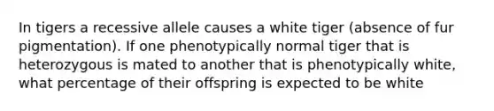 In tigers a recessive allele causes a white tiger (absence of fur pigmentation). If one phenotypically normal tiger that is heterozygous is mated to another that is phenotypically white, what percentage of their offspring is expected to be white