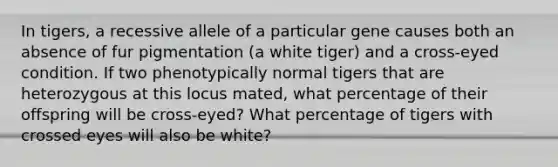 In tigers, a recessive allele of a particular gene causes both an absence of fur pigmentation (a white tiger) and a cross-eyed condition. If two phenotypically normal tigers that are heterozygous at this locus mated, what percentage of their offspring will be cross-eyed? What percentage of tigers with crossed eyes will also be white?