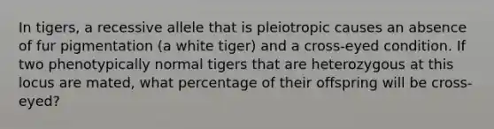 In tigers, a recessive allele that is pleiotropic causes an absence of fur pigmentation (a white tiger) and a cross-eyed condition. If two phenotypically normal tigers that are heterozygous at this locus are mated, what percentage of their offspring will be cross-eyed?