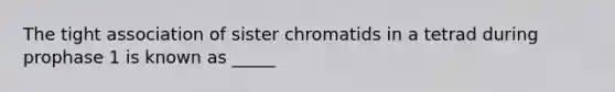 The tight association of sister chromatids in a tetrad during prophase 1 is known as _____