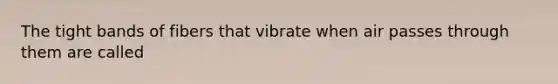 The tight bands of fibers that vibrate when air passes through them are called