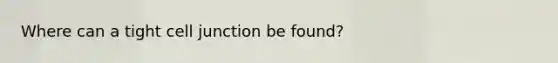 Where can a tight cell junction be found?