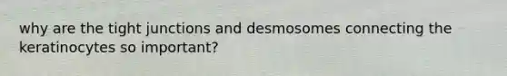 why are the tight junctions and desmosomes connecting the keratinocytes so important?