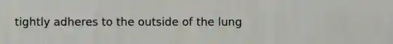 tightly adheres to the outside of the lung