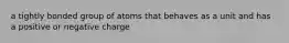 a tightly bonded group of atoms that behaves as a unit and has a positive or negative charge