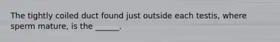 The tightly coiled duct found just outside each testis, where sperm mature, is the ______.