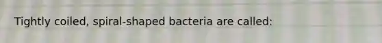 Tightly coiled, spiral-shaped bacteria are called: