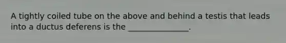 A tightly coiled tube on the above and behind a testis that leads into a ductus deferens is the _______________.