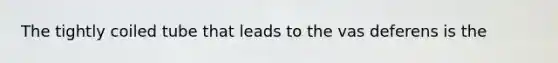 The tightly coiled tube that leads to the vas deferens is the