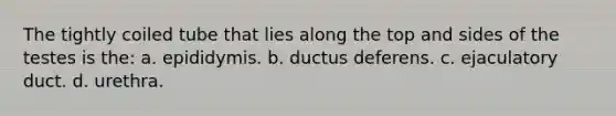 The tightly coiled tube that lies along the top and sides of the testes is the: a. epididymis. b. ductus deferens. c. ejaculatory duct. d. urethra.