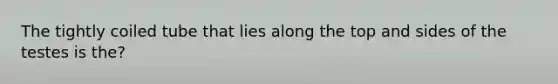 The tightly coiled tube that lies along the top and sides of the testes is the?