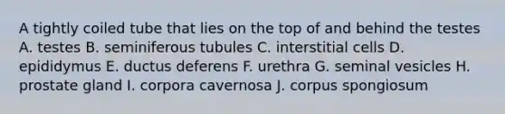 A tightly coiled tube that lies on the top of and behind the testes A. testes B. seminiferous tubules C. interstitial cells D. epididymus E. ductus deferens F. urethra G. seminal vesicles H. prostate gland I. corpora cavernosa J. corpus spongiosum