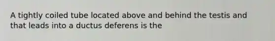 A tightly coiled tube located above and behind the testis and that leads into a ductus deferens is the