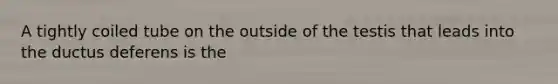 A tightly coiled tube on the outside of the testis that leads into the ductus deferens is the