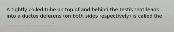 A tightly coiled tube on top of and behind the testis that leads into a ductus deferens (on both sides respectively) is called the ___________________.