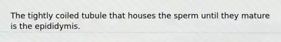The tightly coiled tubule that houses the sperm until they mature is the epididymis.