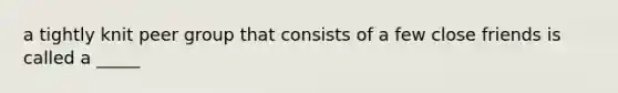 a tightly knit peer group that consists of a few close friends is called a _____