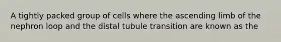 A tightly packed group of cells where the ascending limb of the nephron loop and the distal tubule transition are known as the