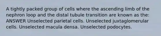 A tightly packed group of cells where the ascending limb of the nephron loop and the distal tubule transition are known as the: ANSWER Unselected parietal cells. Unselected juxtaglomerular cells. Unselected macula densa. Unselected podocytes.