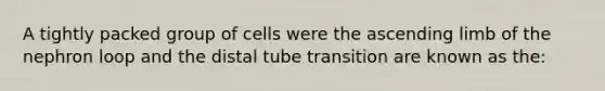 A tightly packed group of cells were the ascending limb of the nephron loop and the distal tube transition are known as the: