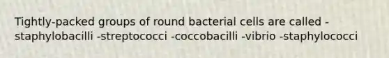 Tightly-packed groups of round bacterial cells are called -staphylobacilli -streptococci -coccobacilli -vibrio -staphylococci