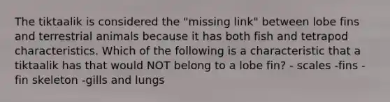 The tiktaalik is considered the "missing link" between lobe fins and terrestrial animals because it has both fish and tetrapod characteristics. Which of the following is a characteristic that a tiktaalik has that would NOT belong to a lobe fin? - scales -fins -fin skeleton -gills and lungs