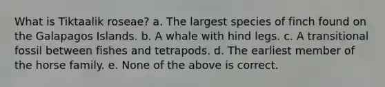 What is Tiktaalik roseae? a. The largest species of finch found on the Galapagos Islands. b. A whale with hind legs. c. A transitional fossil between fishes and tetrapods. d. The earliest member of the horse family. e. None of the above is correct.