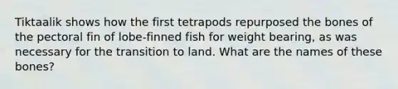 Tiktaalik shows how the first tetrapods repurposed the bones of the pectoral fin of lobe-finned fish for weight bearing, as was necessary for the transition to land. What are the names of these bones?