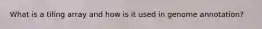 What is a tiling array and how is it used in genome annotation?