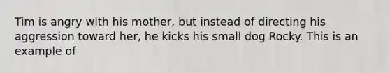 Tim is angry with his mother, but instead of directing his aggression toward her, he kicks his small dog Rocky. This is an example of