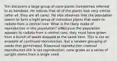 Tim discovers a large group of cane plants (sometimes referred to as bamboo). He notices that all of the plants look very similar (after all, they are all cane). He also observes that the population seems to form a tight group of individual plants that seem to radiate from a central core. What is the likely mode of reproduction in this population? a)Because the population appears to radiate from a central core, they must have grown from a bunch of seeds dropped at the same time. This is not an example of continued reproduction, but a random grouping of seeds that germinated. B)asexual reproduction c)sexual reproduction d)It is not reproduction; cane grows as a series of upright stems from a single seed.